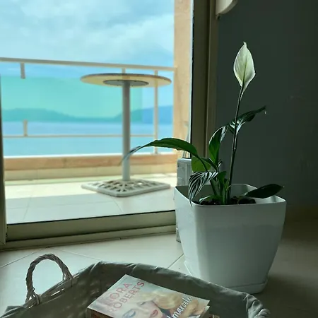Sun 'n'
